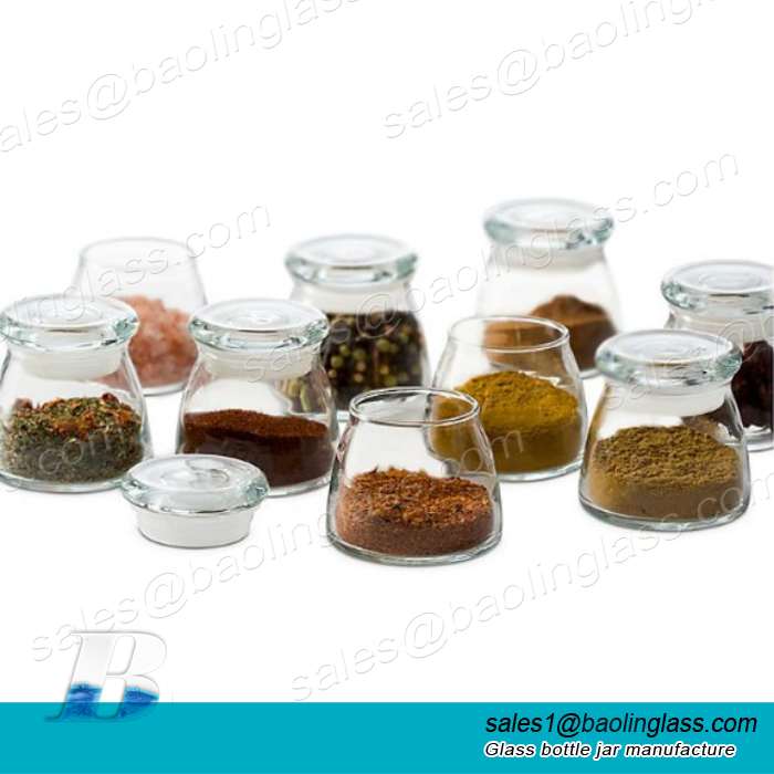 4.5oz Glass Bottle Vibe Spice Jars in Clear