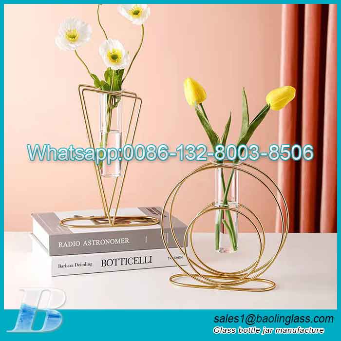 Hydroponics Clear Planter Metal Stand Glass Vase for Modern Home Office Decor